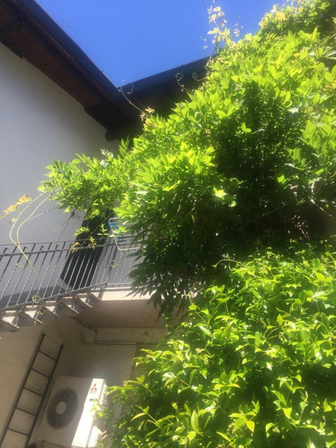 Vittuone Delizioso Appartamento In Corte מראה חיצוני תמונה